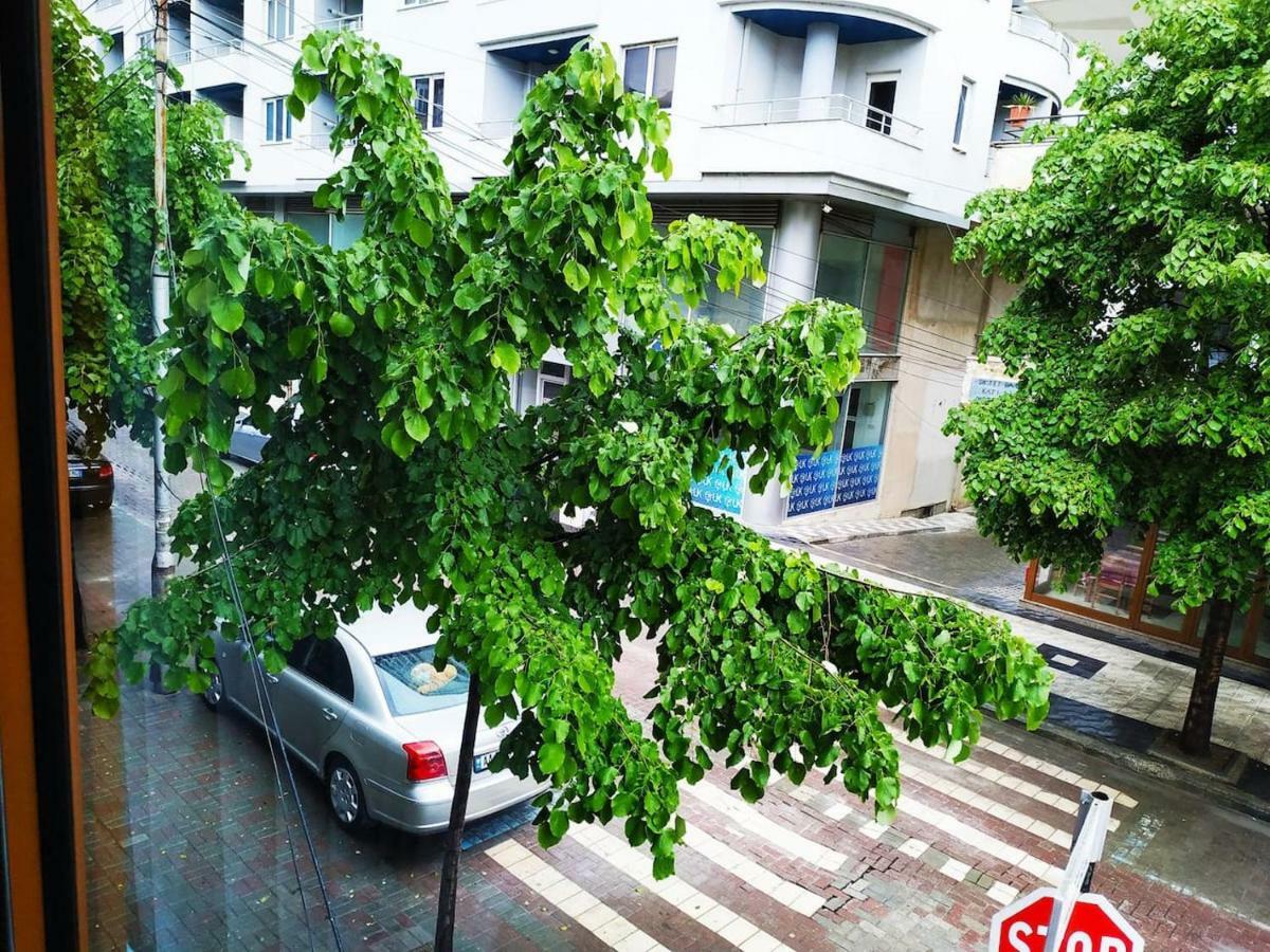 Lovely Apt At The Heart Of The City&Near The Lake Pogradec Zewnętrze zdjęcie