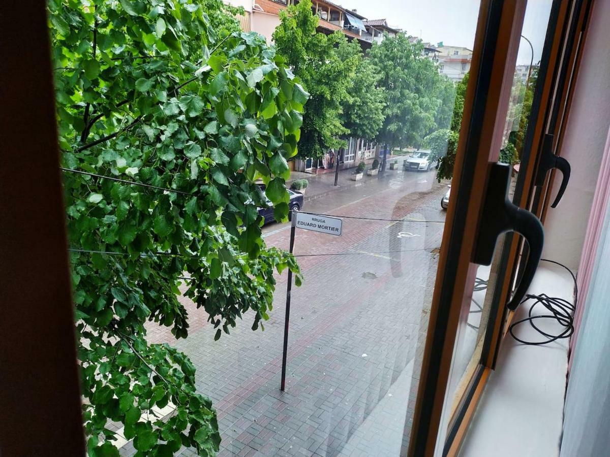 Lovely Apt At The Heart Of The City&Near The Lake Pogradec Zewnętrze zdjęcie